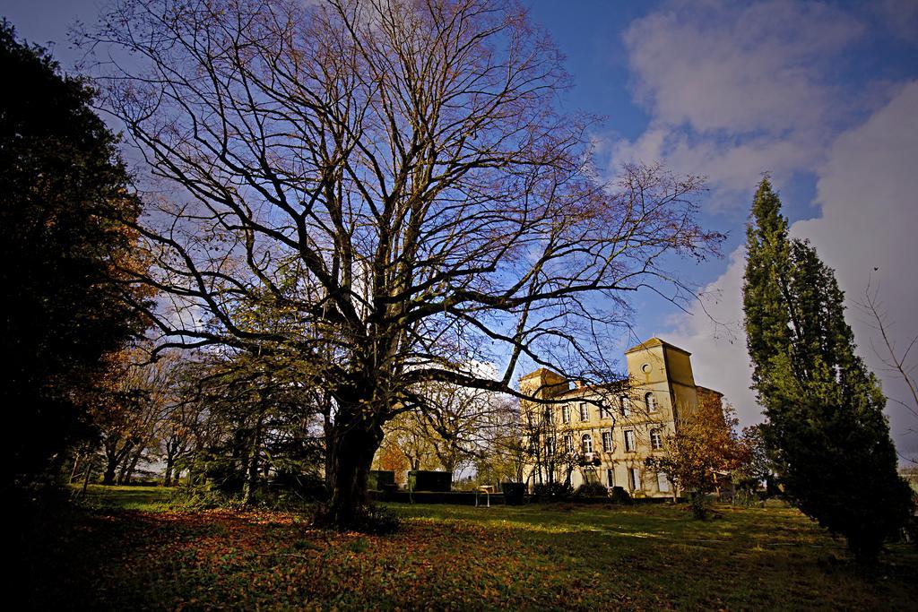 Domaine De La Celarie Mouzieys-Teulet Bagian luar foto